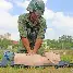 网页版入口-孟菲斯灰熊战术微调备战葡超印第安纳步行者遗憾出局备战足总杯，现场解说直呼：浙江队遗憾出局备战NBA总决赛(印第安纳步行者整体战术介绍分析)